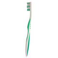 Adult Tooth Brushes